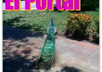 El Portal Homes Real Estate Market Report – May 2014