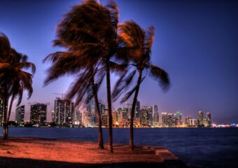 November 2011 Downtown Miami Housing Report