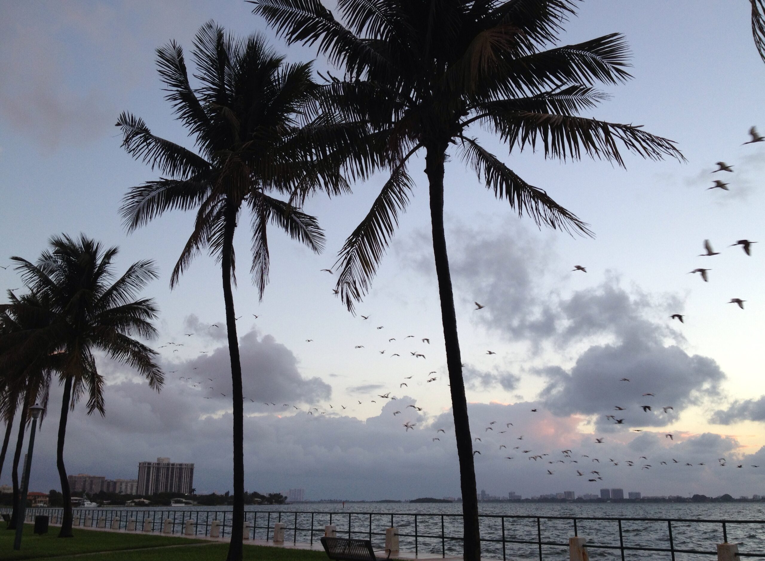 miami-shores-real-estate-market-report-november-2014