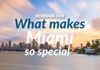 What Makes Miami So Special?